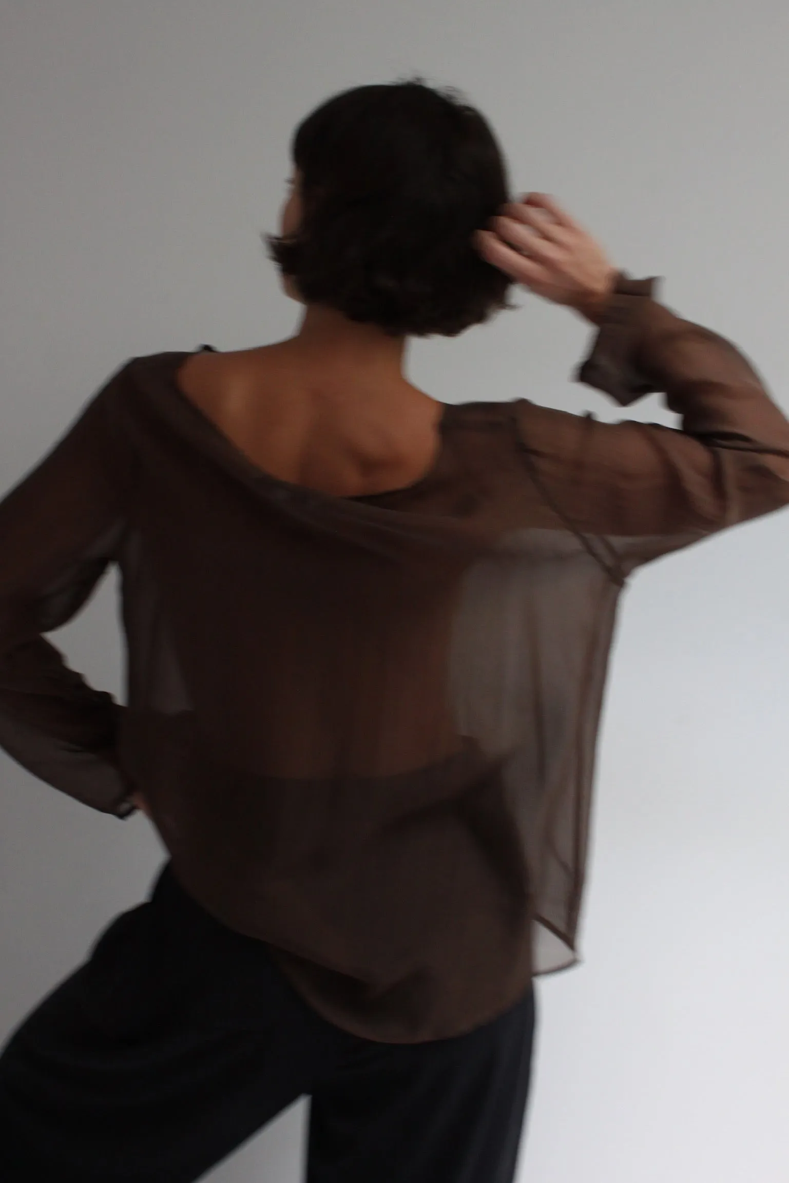 Esme Sheer Silk Blouse