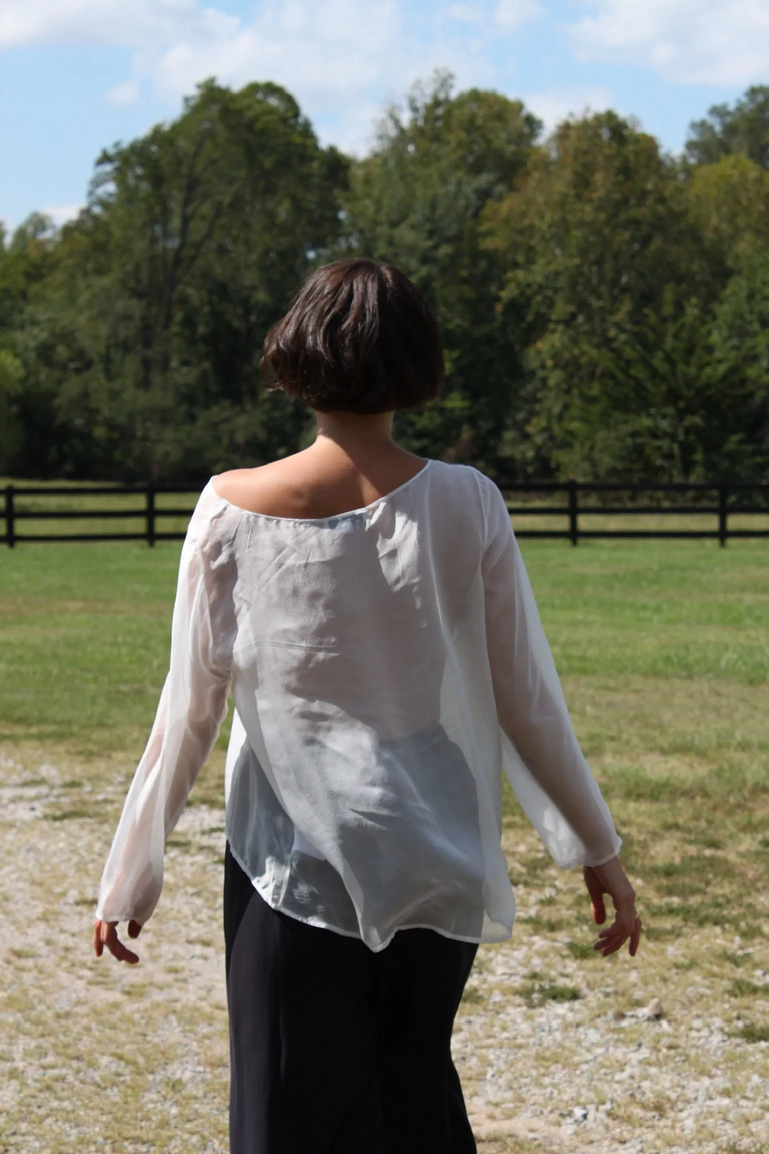 Esme Sheer Silk Blouse