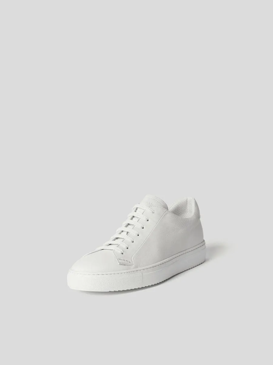 Sneakers kobe